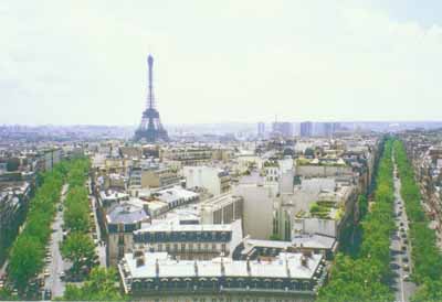 FR-View.jpg (16661 bytes)